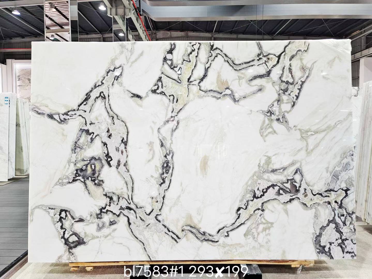 1. Oyster white Quartzite Slab