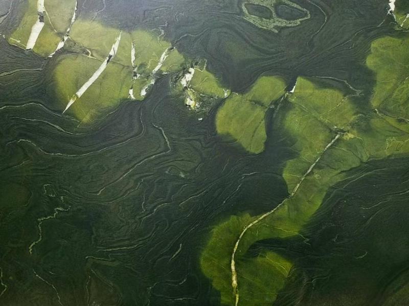 1.Avocatus Green Quartzite (1)