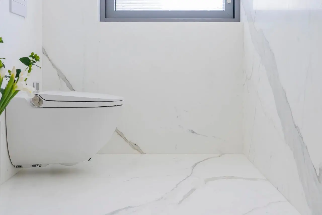 10.Calacatta Marble toilet